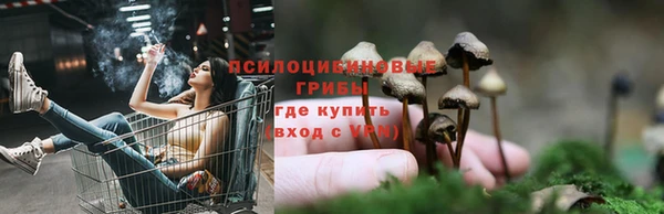 стаф Остров