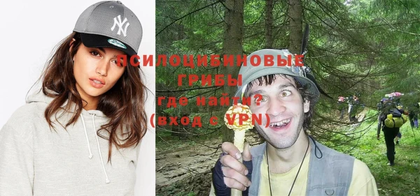 индика Барнаул
