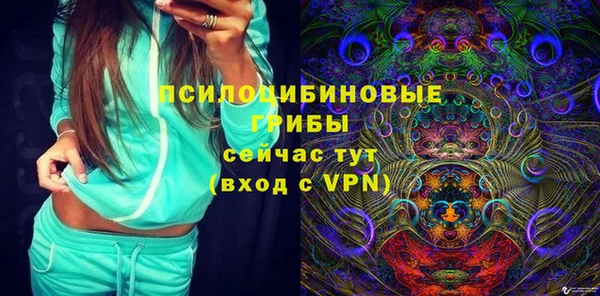 apvp Осташков