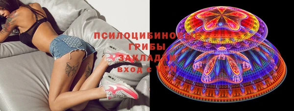 apvp Осташков